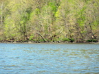 IMG 4563